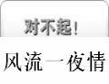 风流一夜情