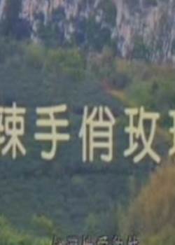 辣手俏玫瑰