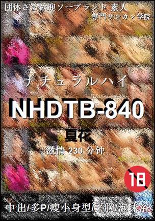 NHDTB-840torrent