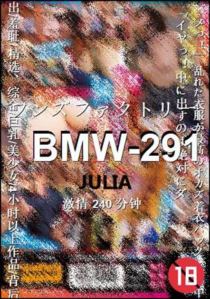 BMW-291torrent