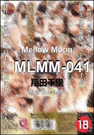 MLMM-041