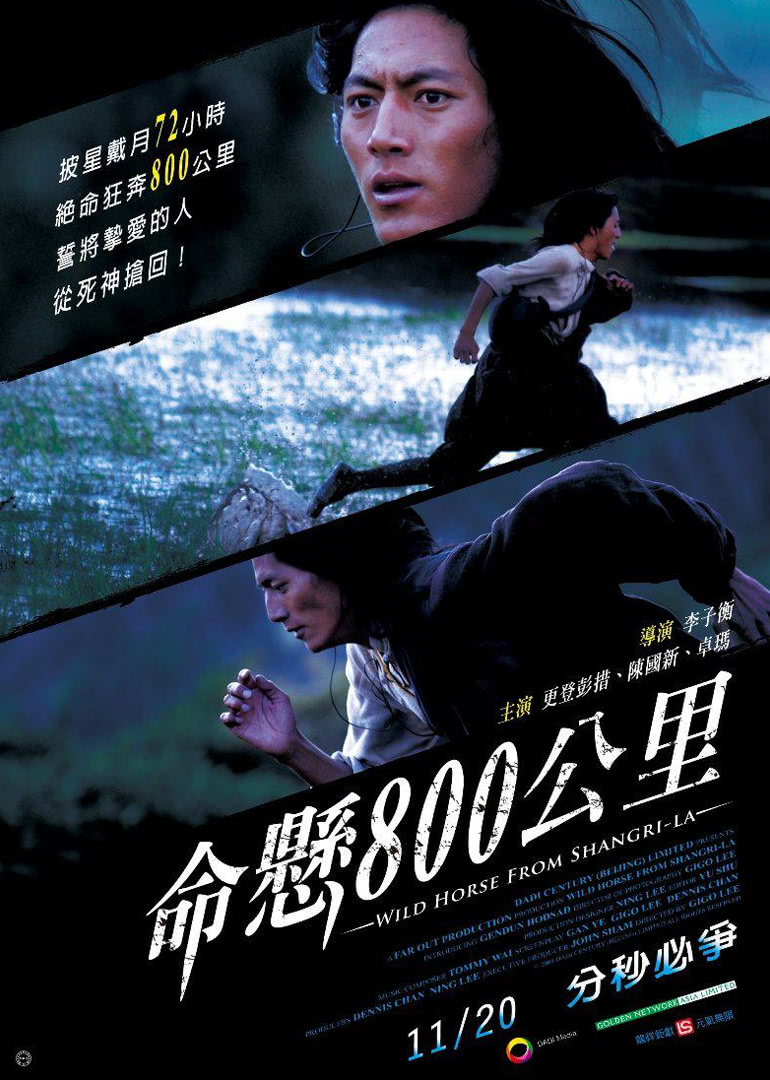 800