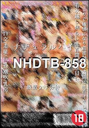 NHDTB-858torrent