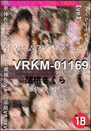 VRKM-01169