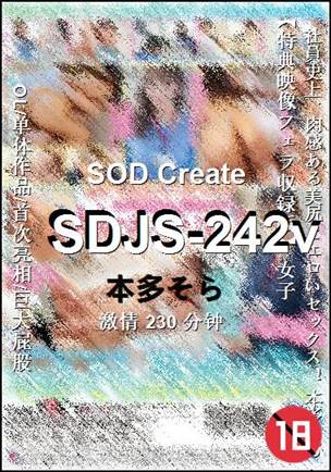 SDJS-242v