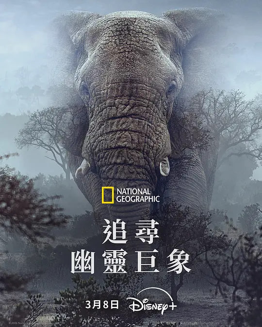 ׷Ѱ�������