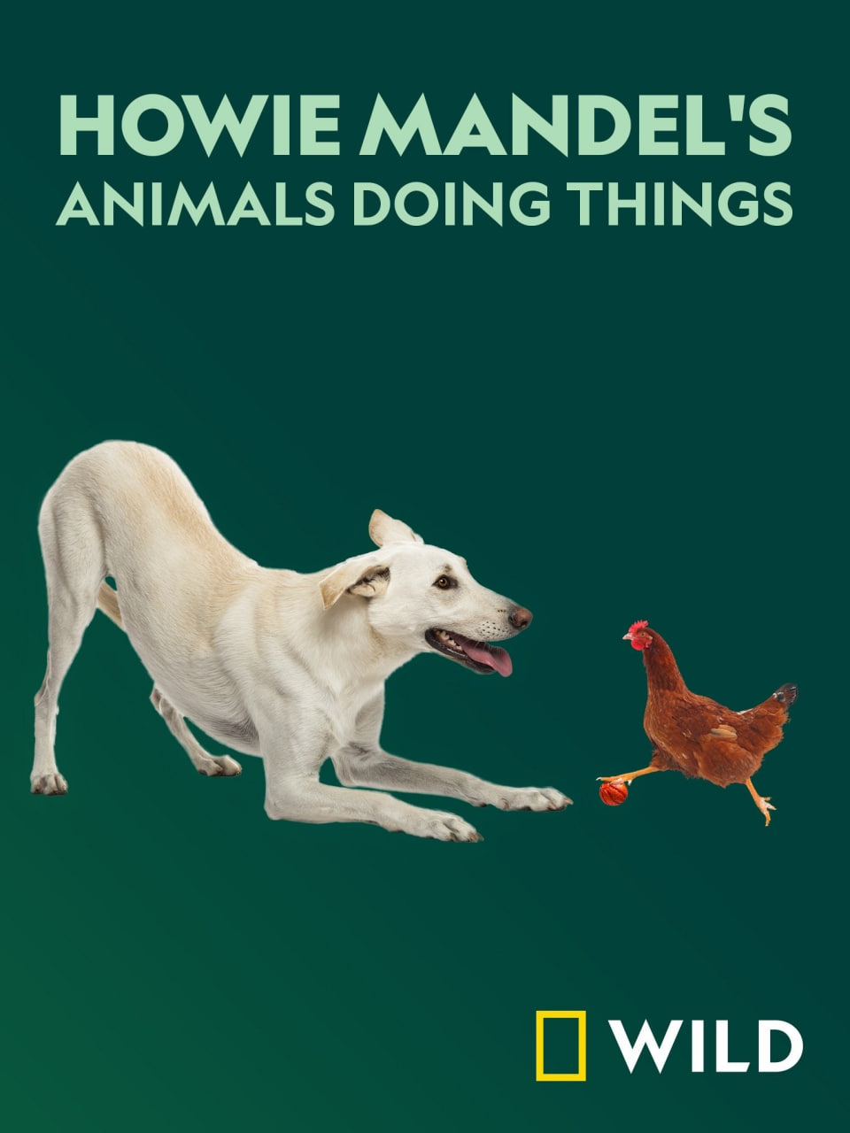 �������Ź��µڶ���