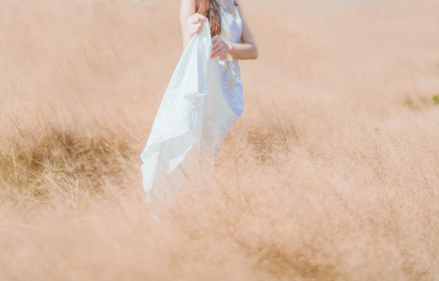 �ڹ�������ϵȫ��torrent