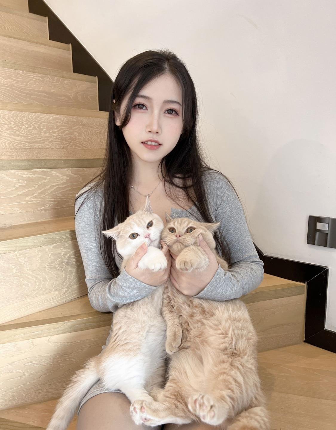 3d���ս���