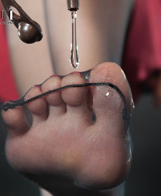 ���꿴���Լ������ֵ�����torrent