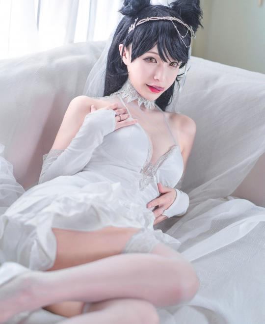 ɫ������